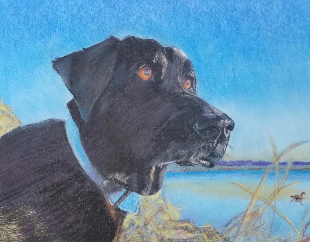 Click here to view Titan Ray by Heidi Tournoux Studios Gallery