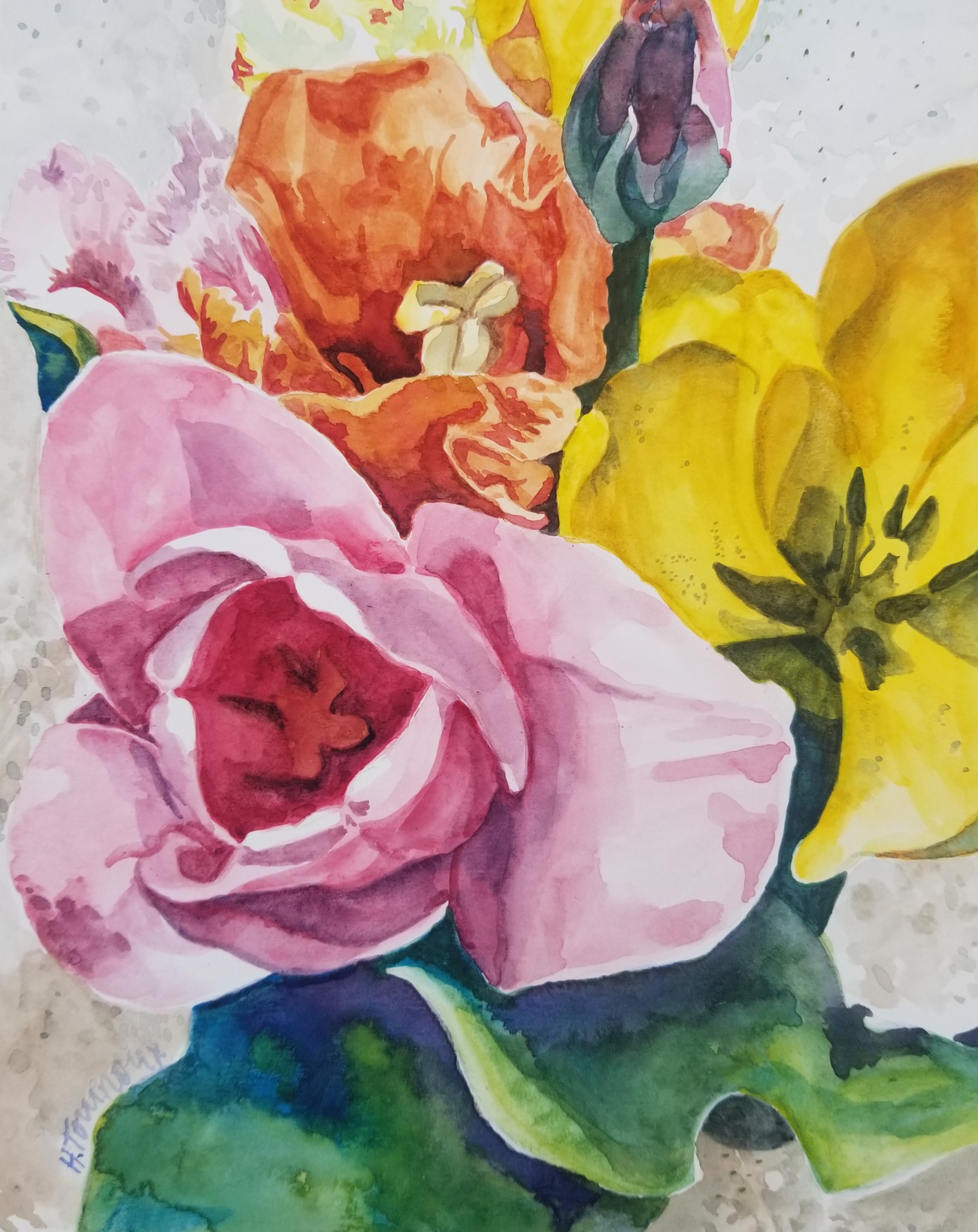 Colorful Tulips by Heidi Tournoux Studios Gallery