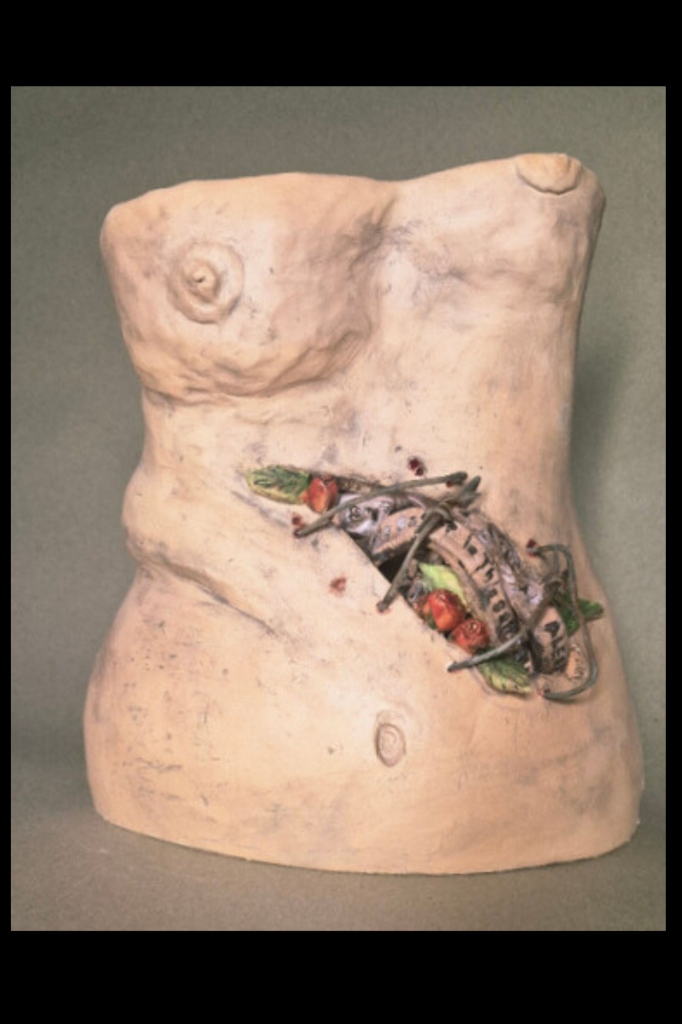 Barbed Becoming by Heidi Tournoux Studios Gallery